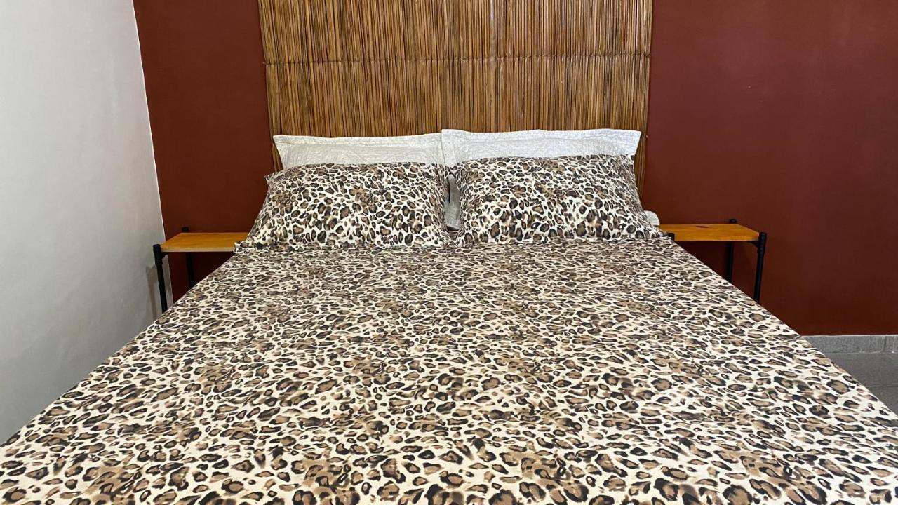פראיה דו פראנסס Luau Pousada E Hostel מראה חיצוני תמונה