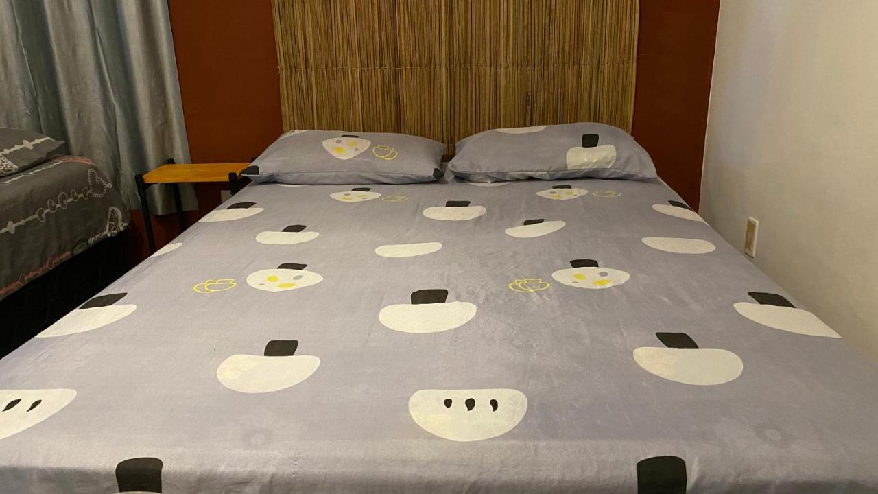 פראיה דו פראנסס Luau Pousada E Hostel מראה חיצוני תמונה